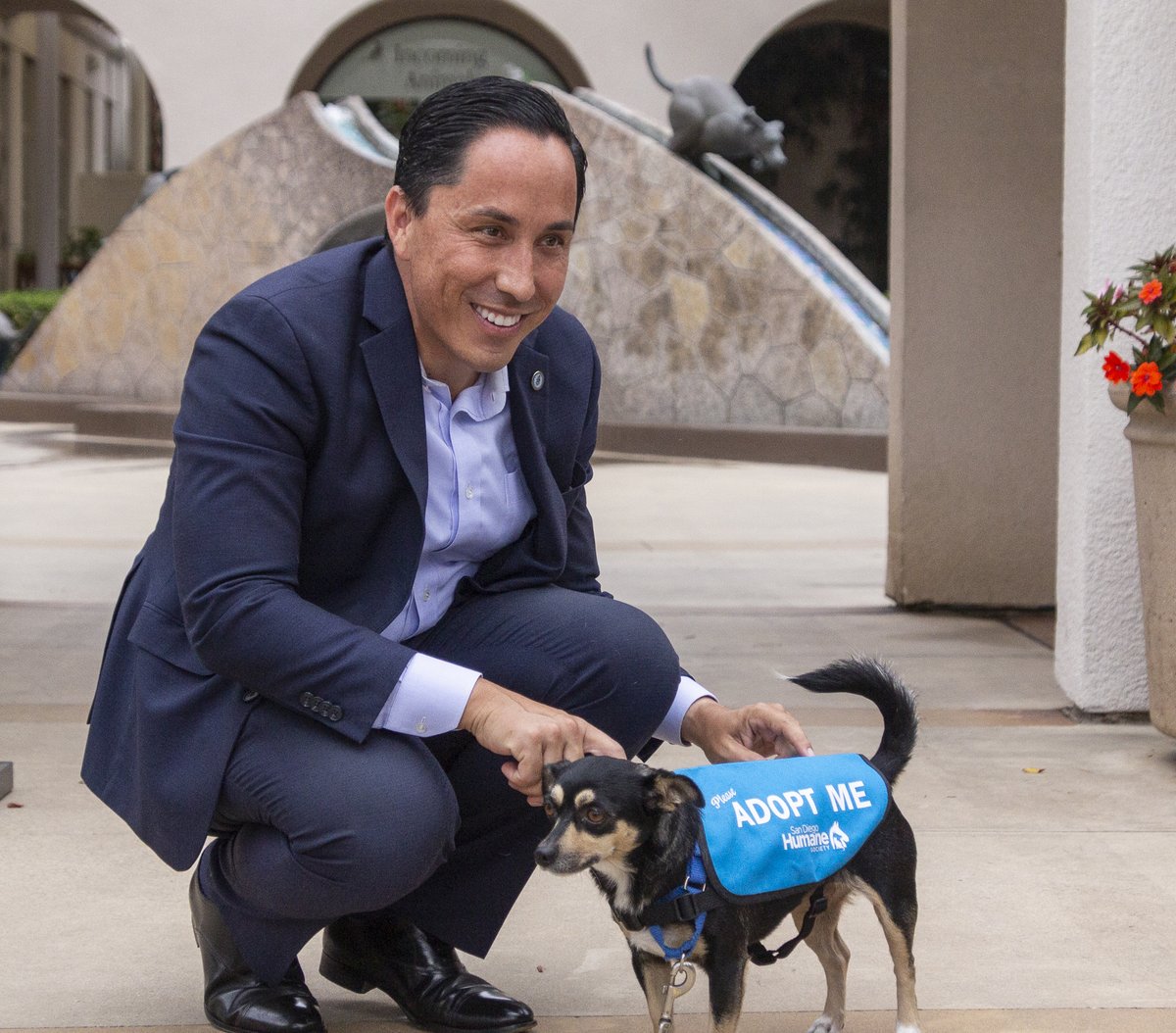 sdhumane's tweet photo. We had so much fun with @MayorToddGloria today while promoting #Gloria100: Oct. 22-24, fees will be waived for the first 100 adult pets who are adopted. After 100 adoptions, all adult animals will be $25. https://t.co/elaDGiK8CD. https://t.co/czMY3O8JNL