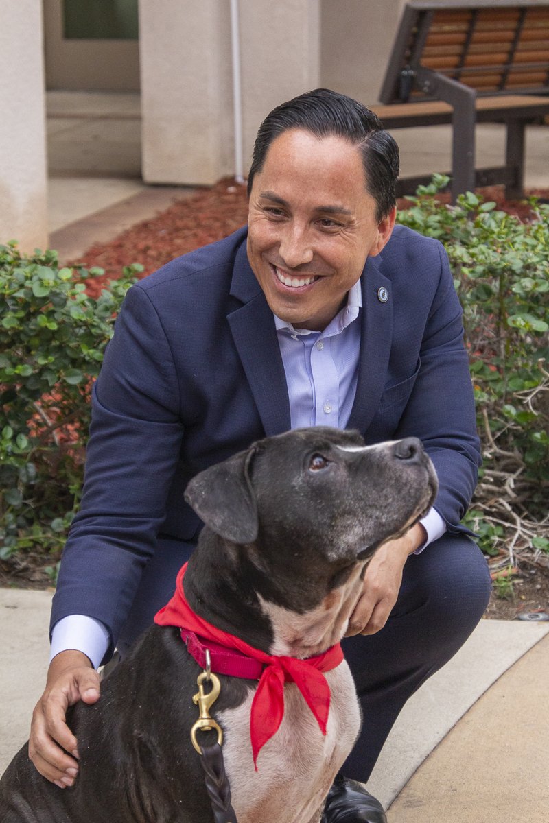 sdhumane's tweet photo. We had so much fun with @MayorToddGloria today while promoting #Gloria100: Oct. 22-24, fees will be waived for the first 100 adult pets who are adopted. After 100 adoptions, all adult animals will be $25. https://t.co/elaDGiK8CD. https://t.co/czMY3O8JNL