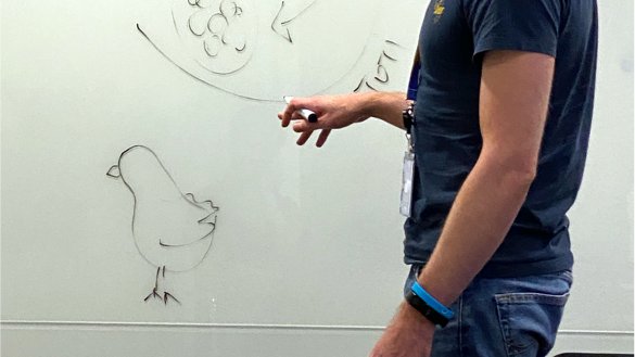 Moris Lab tweet media