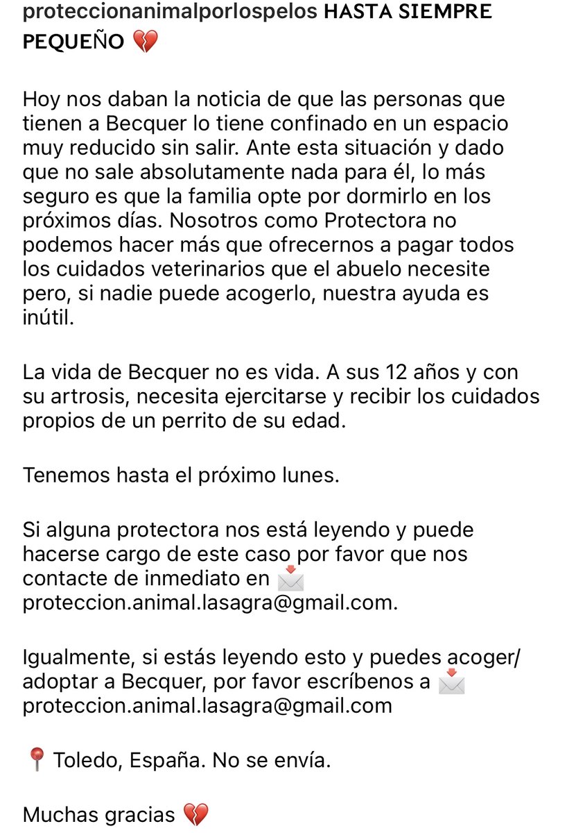 PerreraToledo's tweet photo. 🆘🆘🆘🆘🆘SÓLO TENEMOS HASTA EL LUNES. Nadie se ha ofrecido a acoger a Becquer. Su familia ha decidido encerrarlo para dormirle. Si no sale nada antes del lunes no podremos ayudar. Llamamiento a particulares y protectoras, AYUDA POR FAVOR ‼️proteccion.animal.lasagra@gmail.com https://t.co/2aVVNiqJQy