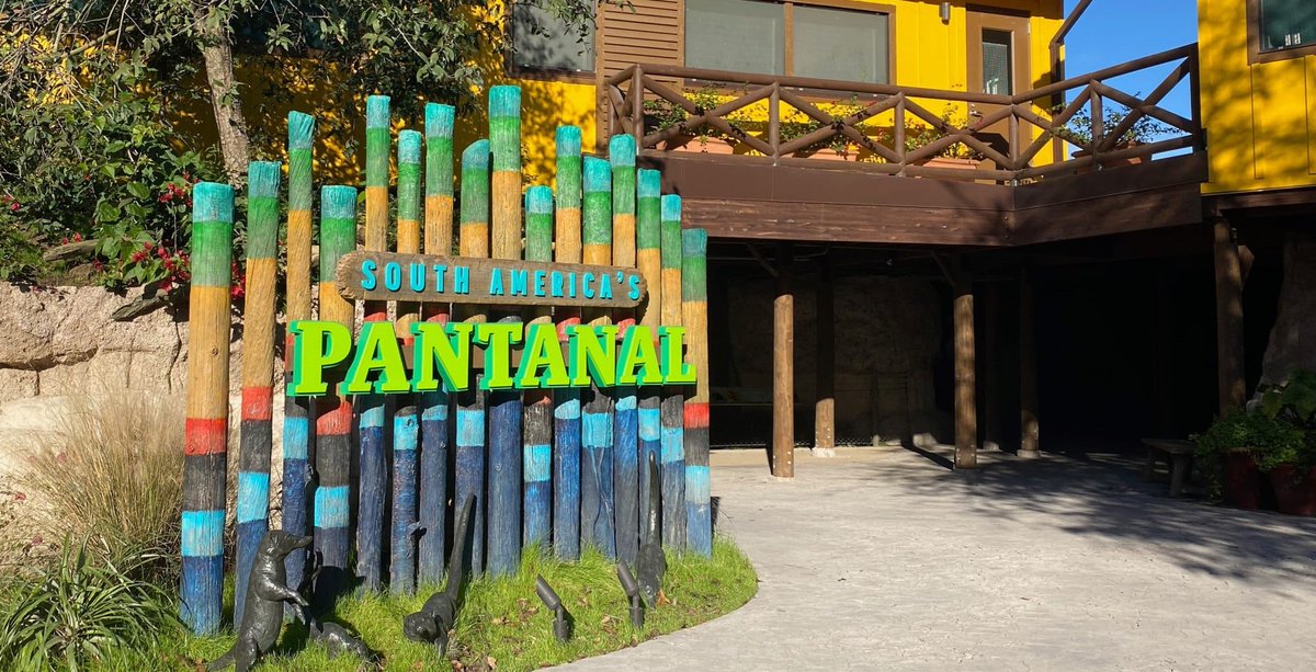 Crypto Images tweet media