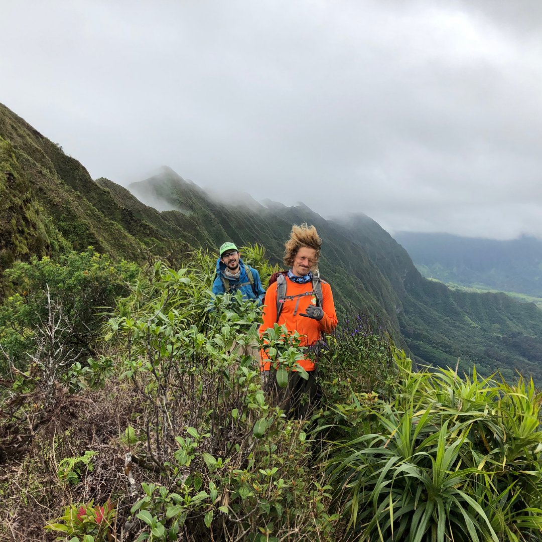 kmwphawaii's tweet photo. Have you been feelings the gusts of makani this week? We sure have. #thewindthroughmyhair #kmwphawaii #viewsfromthefield #alohafriday #koolaumountains https://t.co/it0jGmxzcC