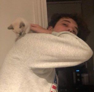 ccsawardss's tweet photo. BEST WILBUR STAN 🏆

🥇 @crep_per (55 votos)
🥈 @glaivq (50 votos)
🥉 @jerbochocoramo (30 votos) 

felicidades, wilbur los ama https://t.co/67YlL2S6bH