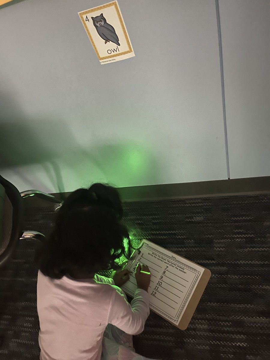 PaezMrs's tweet photo. We had a blast using our chem lights to learn about nocturnal animals this week!! @TISDGOES #rockyourschool #GOseastheday🐯🖤💛 https://t.co/wJF3JVp9yv