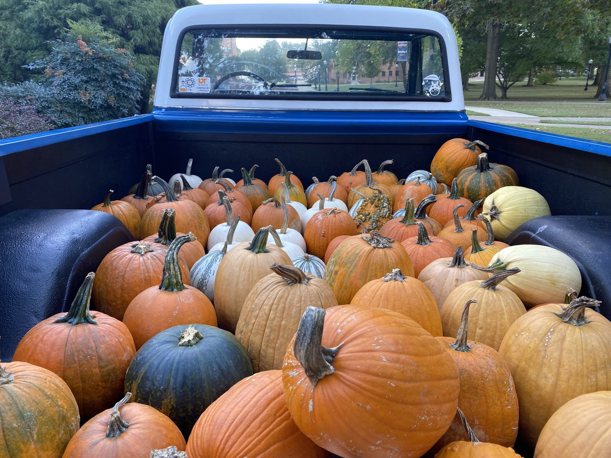 Reasons to have a truck — hauling pumpkins, of course!