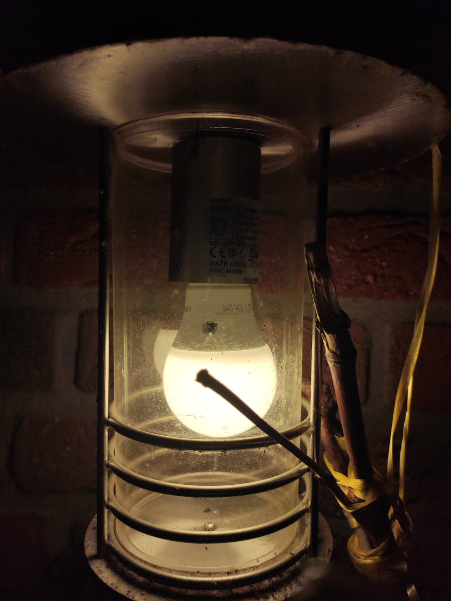 吹牛学硕士 tweet media