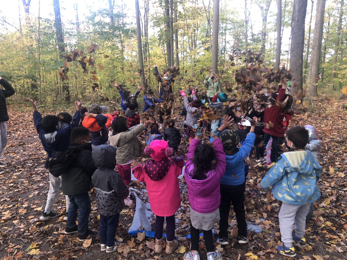 PlayInPrimaryEd's tweet photo. What a glorious afternoon in our forest with @BoagJKSK We love playing in the leaves 🍁🍃 and enjoying the crisp fall weather. @BlackWalnutPS https://t.co/HUpUV1JkbR