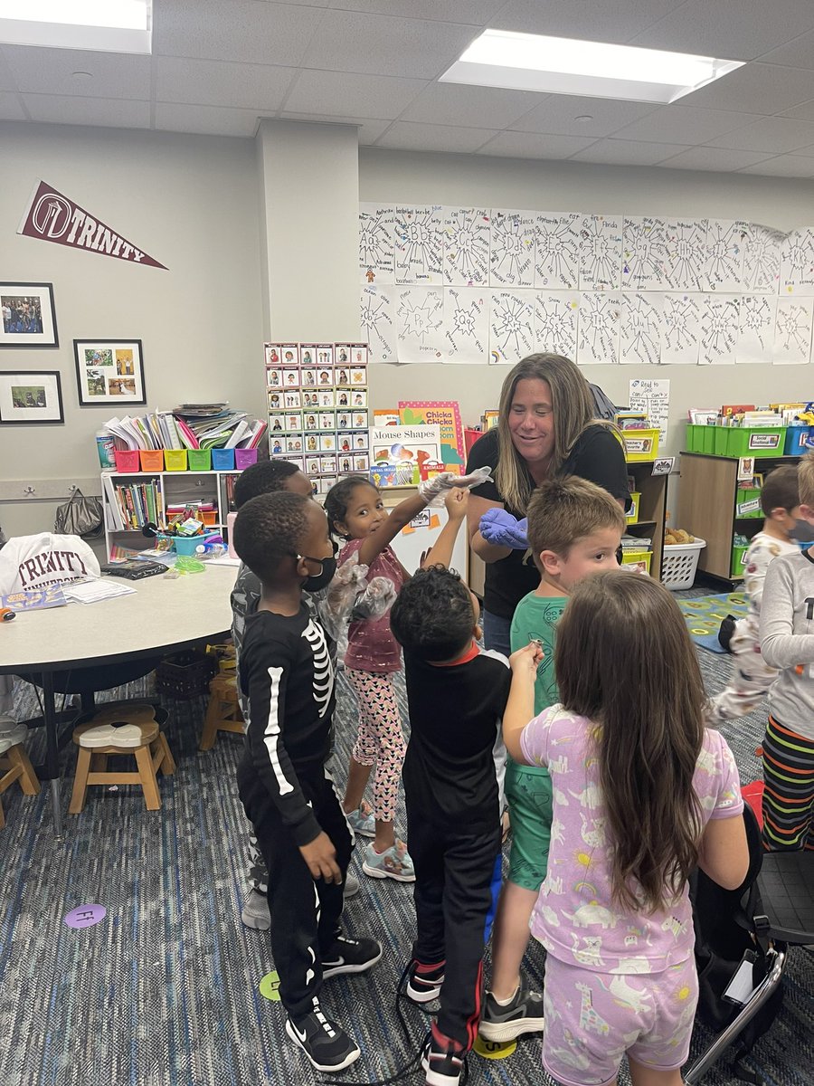 PaezMrs's tweet photo. Dissecting owl pellets was a huge hit with our kinder tigers! Shout out to @mscqualls for the idea! Also, huge thanks to @mcreynoldssteph for coming to help!! Our tigers practiced their life principle of cooperation dissecting in groups! @TISDGOES #rockyourschool https://t.co/vTrct48t9T