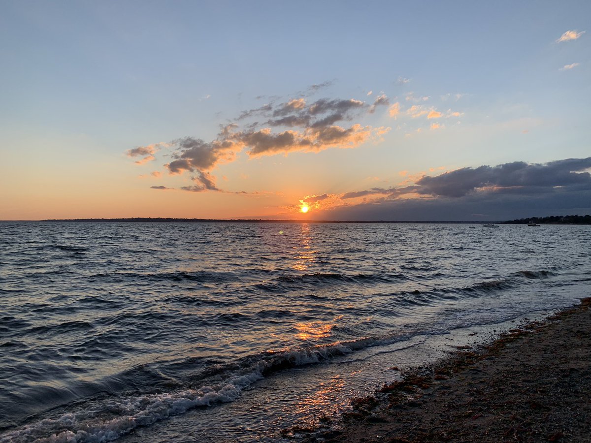 meg_amato's tweet photo. a sunset trip to barrington beach led to some impromptu seaweed collecting, perfect for #phycologyfriday #algae #sayitwithseaweed @bwysor_getalgae @myrwu @rwusciences https://t.co/5iYXP982By