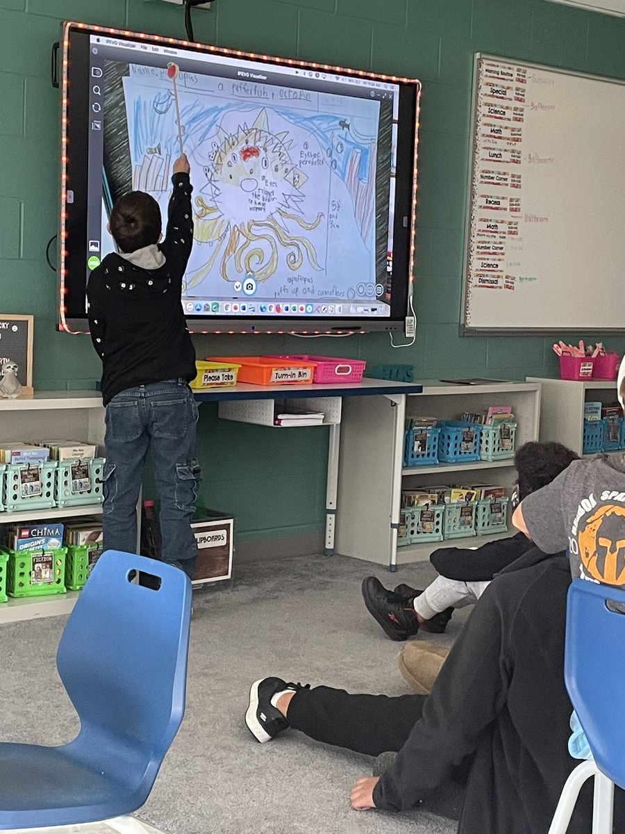 Mrs_Schrader4's tweet photo. What would happen if you went to a deserted island and found a new species of an animal? How would you communicate the information to other scientists? How does this animal sense and respond to danger? #Engineering #sciencequestions https://t.co/thOXI69ZxI