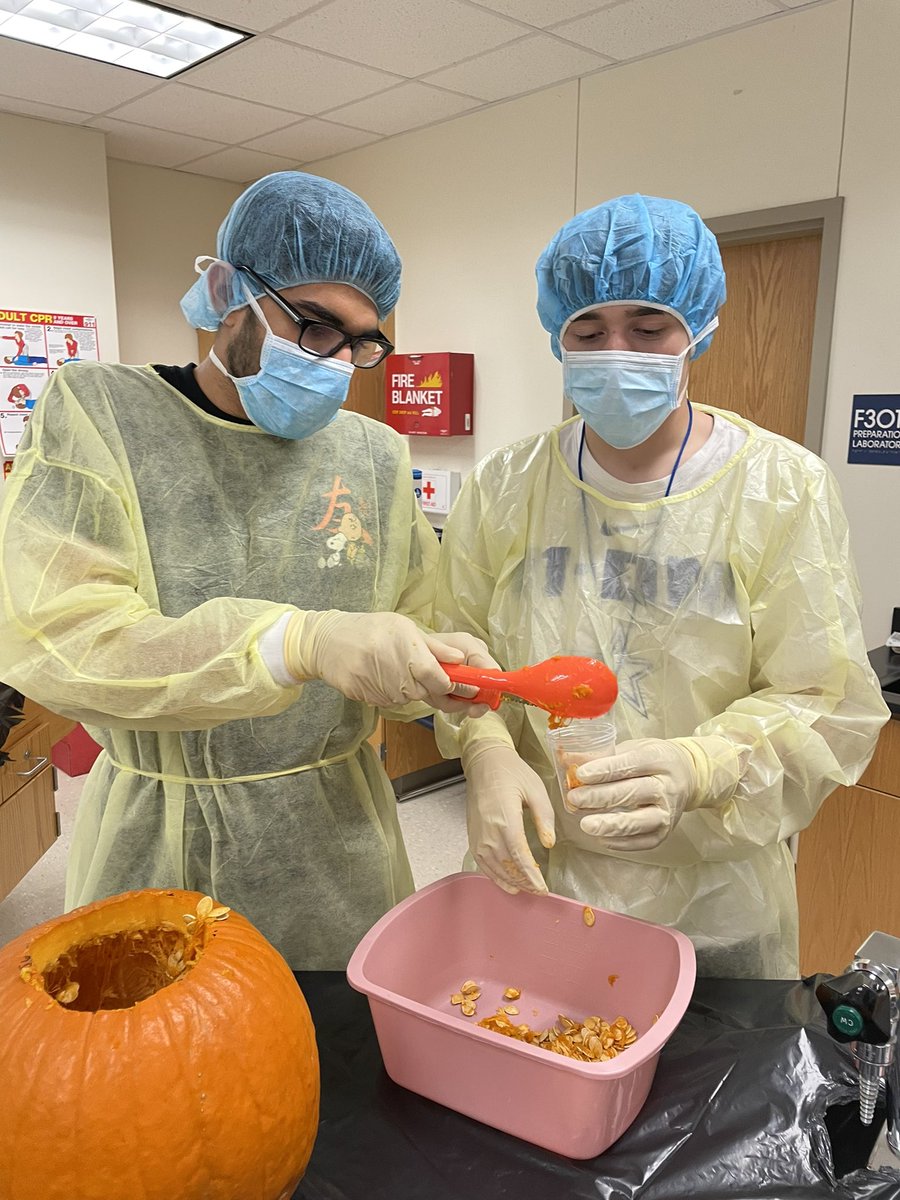 CTE_Bears's tweet photo. Our health science department is getting in the spirit by performing “pumpkinectomies!” https://t.co/qC5qjp2cLs