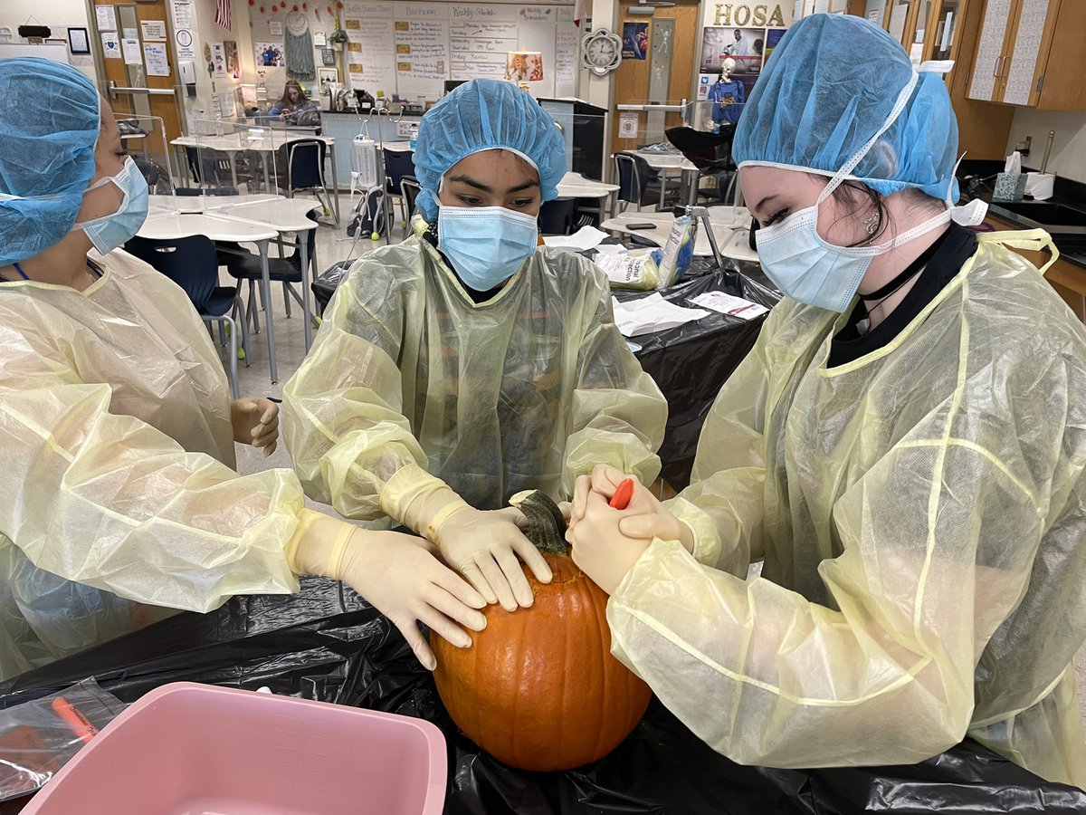 CTE_Bears's tweet photo. Our health science department is getting in the spirit by performing “pumpkinectomies!” https://t.co/qC5qjp2cLs