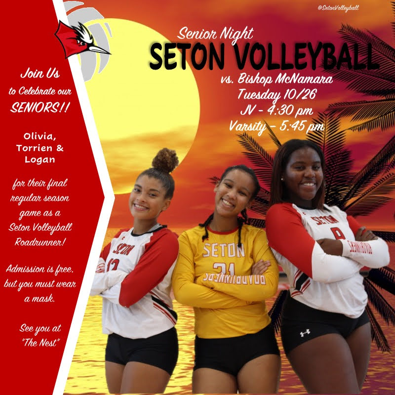 Elizabeth Seton HS Volleyball tweet media