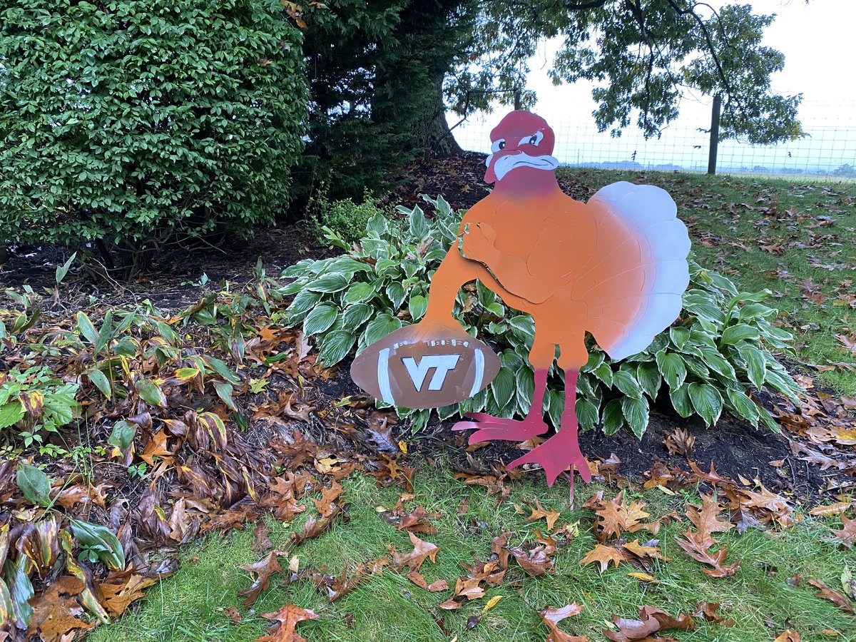 ⁦<a href="/vt_home/">This Is Home VT</a>⁩