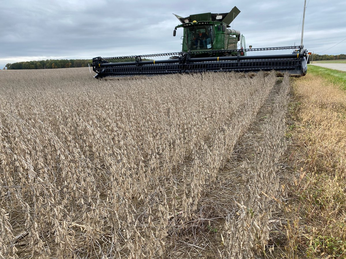 TomFarms's tweet photo. #TodayAtTomFarms

Time is of the essence with soybeans. 

Huge shoutout to 
Polk Equipment for loaning us a 3rd head to help out!

Let’s go!

#TomFarms #PolkEquipment #Soybeans #Asgrow #HugeHelp #Thanks #BayerCropScience 

PC Chris https://t.co/xBNntBo7BI
