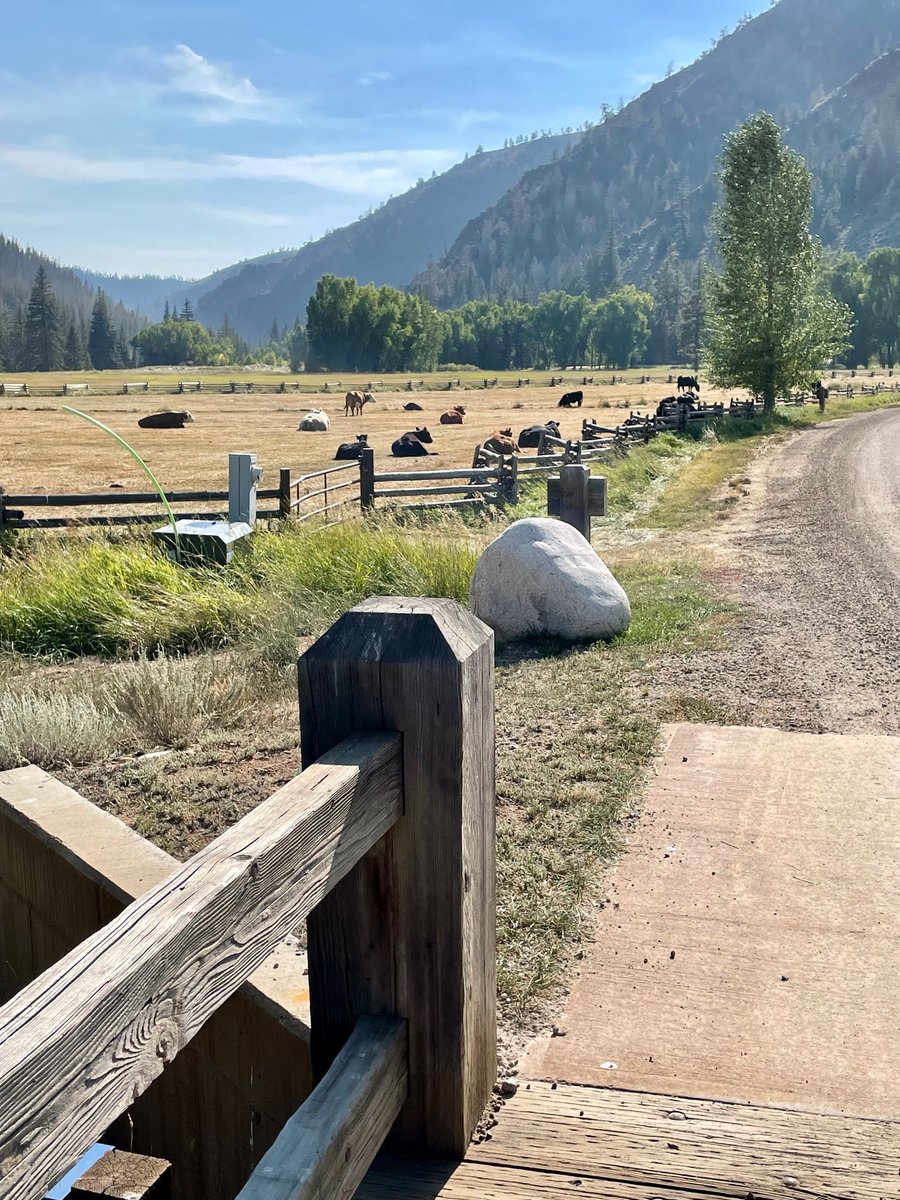 WilderColorado's tweet photo. Wilder's Annual Hay Harvest 2021

#gunnisoncounty #colorado #historical #ranch https://t.co/4924oiXuTm