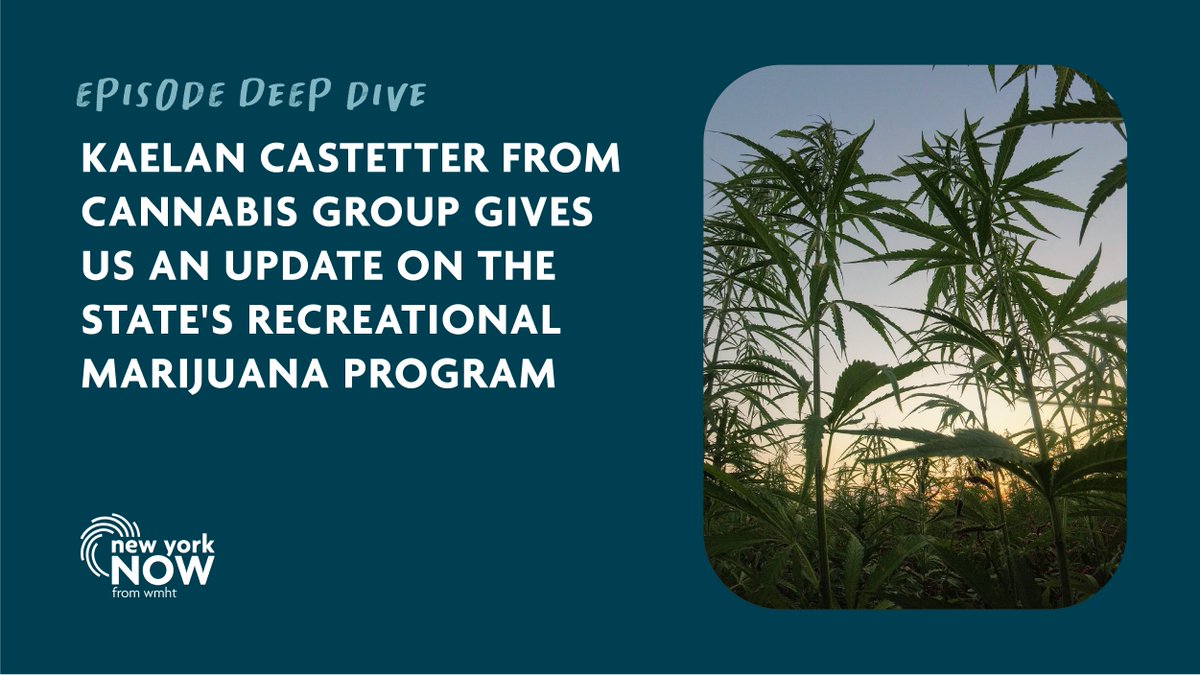 . <a href="/KaelanCastetter/">Kaelan Castetter</a> gives updates on NY’s Office of Cannabis Management, including recreational and medicinal marijuana on this week’s show.
Watch anytime online: nynow.org