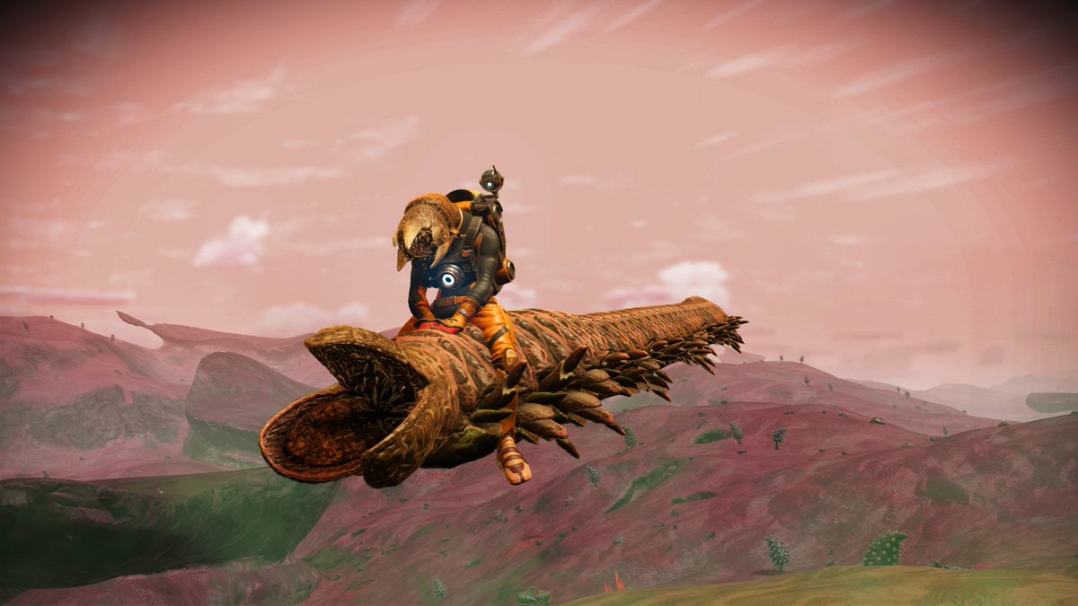 kzarnax's tweet photo. Here is my brand new companion has just hatched, need to wait until it grows #NoMansSky #nomansskyemergence 

https://t.co/VSGwflpuZY https://t.co/1oGG7mkNIt