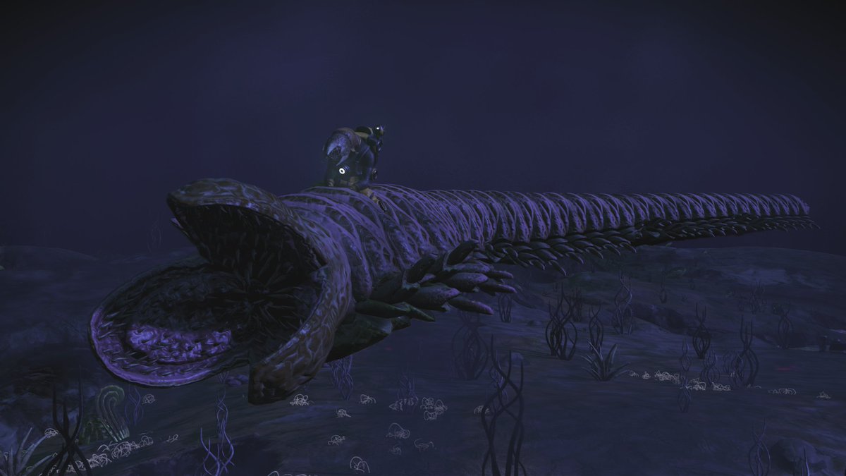 kzarnax's tweet photo. Here is my brand new companion has just hatched, need to wait until it grows #NoMansSky #nomansskyemergence 

https://t.co/VSGwflpuZY https://t.co/1oGG7mkNIt