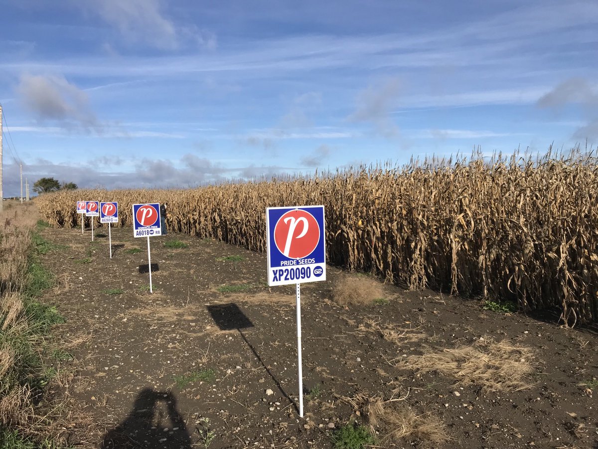 FRED SINCLAIR tweet media