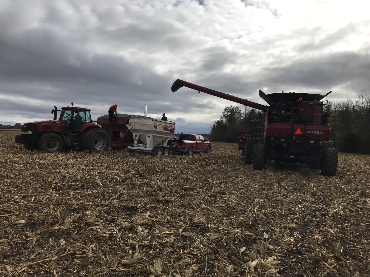 FRED SINCLAIR tweet media