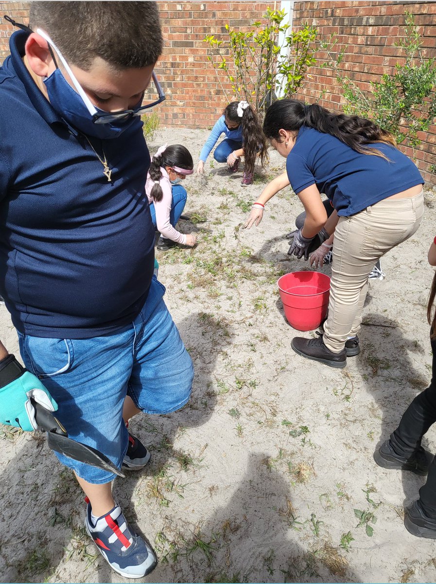 Rocks4th's tweet photo. The worst part of gardening is the weeding, but it has to get done to prepare for the fall plant. 
@Crestwood2021 
@WeAreHAEST https://t.co/icL5PenArY