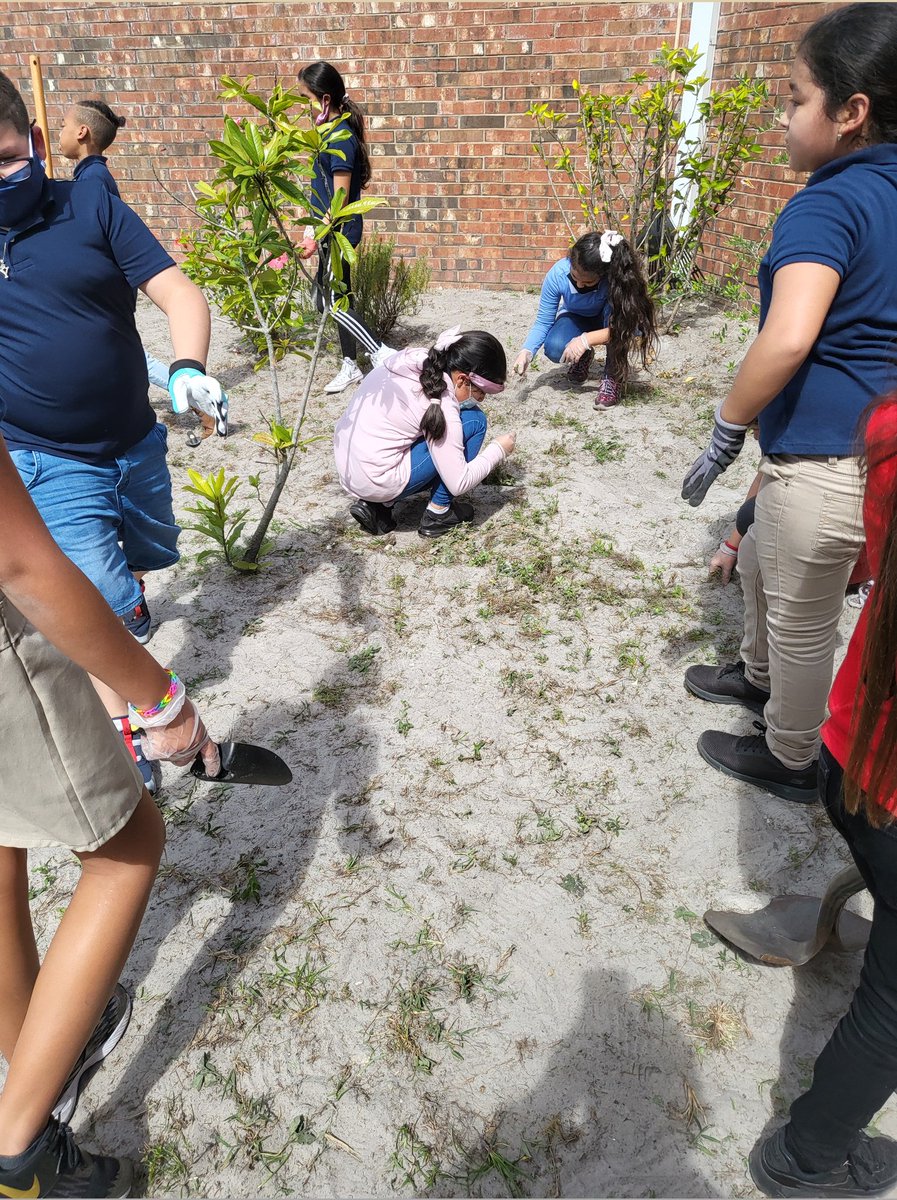 Rocks4th's tweet photo. The worst part of gardening is the weeding, but it has to get done to prepare for the fall plant. 
@Crestwood2021 
@WeAreHAEST https://t.co/icL5PenArY