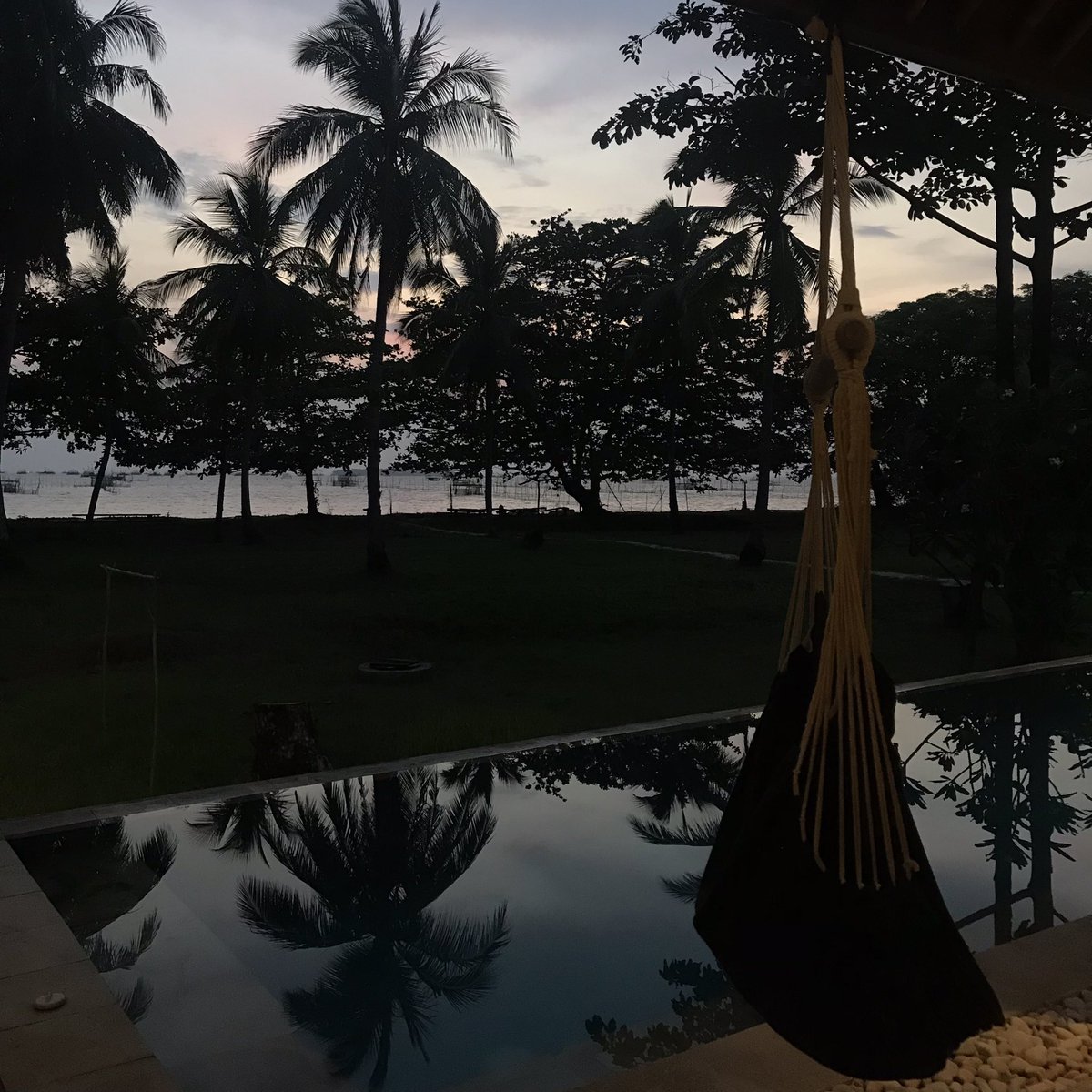 GM 🌴🌴🌴