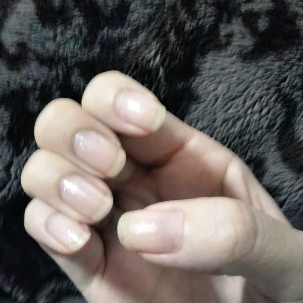 爪強化 Twitter Search Twitter