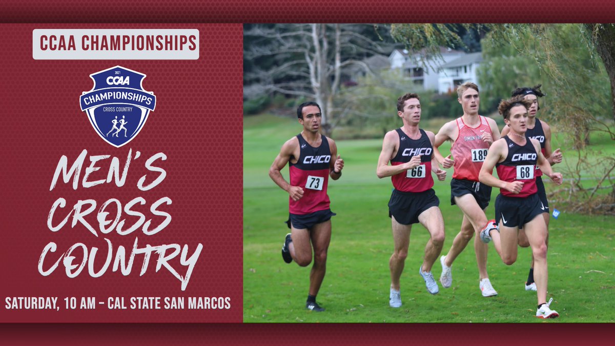 Chico State Wildcats (@chicoathletics) on Twitter photo No team has dominated a sport like the <a href="/ChicoStateXC/">Chico State Cross Country</a> men in the history of the @GoCCAA. Saturday, a group of cagey veterans and postseason newcomers (including 4 wide-eyed freshmen) will attempt to lead the Wildcats to their 19th consecutive CCAA crown. chicowildcats.com/news/2021/10/2… No team has dominated a sport like the <a href="/ChicoStateXC/">Chico State Cross Country</a> men in the history of the @GoCCAA. Saturday, a group of cagey veterans and postseason newcomers (including 4 wide-eyed freshmen) will attempt to lead the Wildcats to their 19th consecutive CCAA crown. chicowildcats.com/news/2021/10/2…