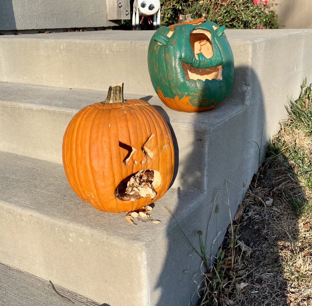 sam abel tweet media