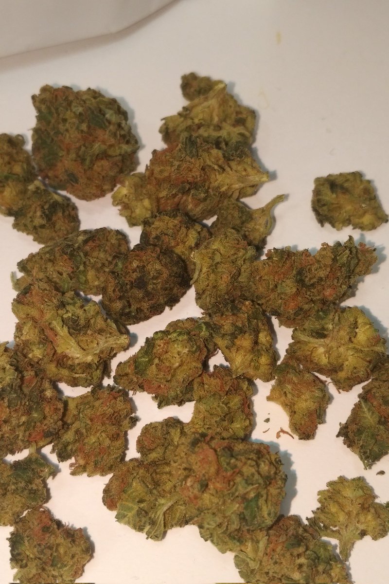 GrowTreesBC's tweet photo. Crap https://t.co/gfv0YLwv8w