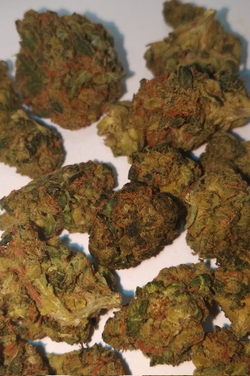 GrowTreesBC's tweet photo. Closer look at crap https://t.co/ttF7n0cwEx