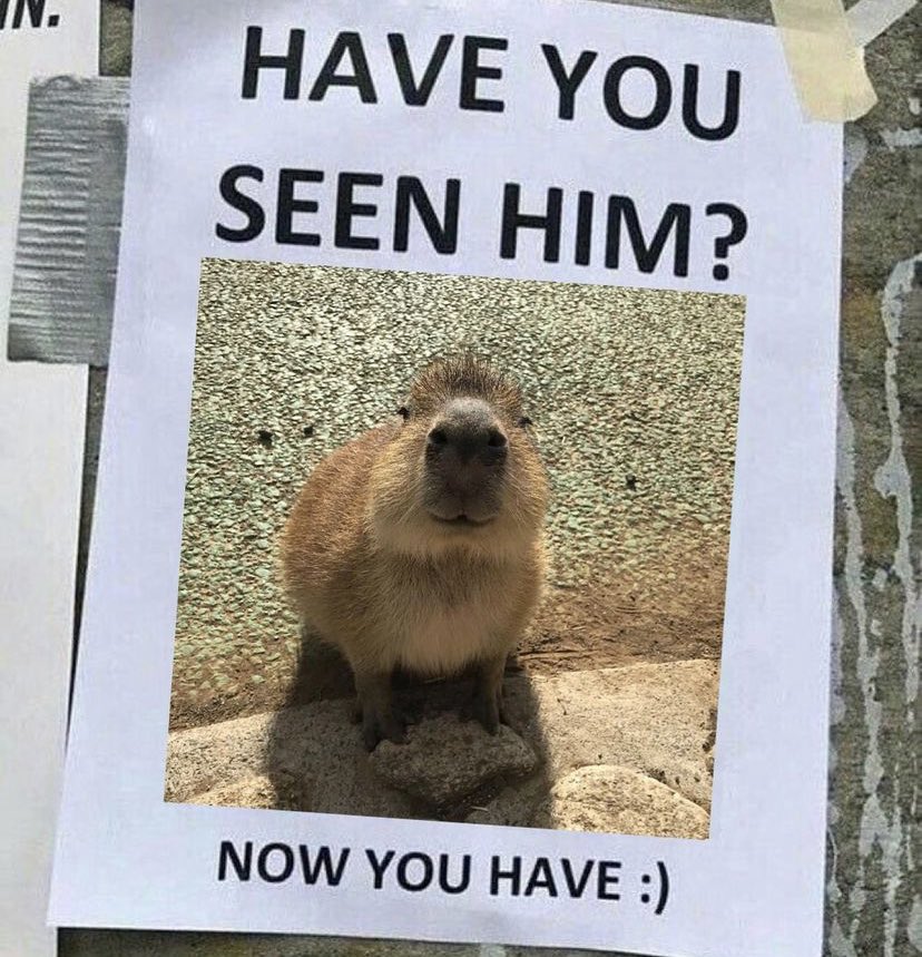 WholesomeMemes (@wholesomememe) on Twitter photo 