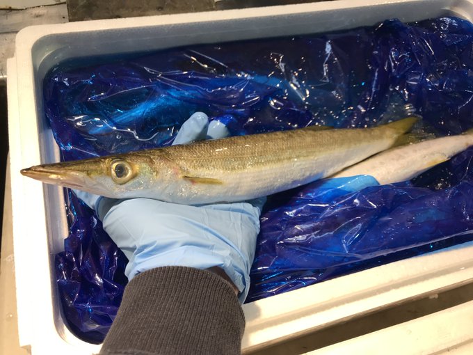 これ読める 魳 魚に帀と書いてなんて読む 読めたらすごい魚漢字クイズ Sotokoto Online ソトコトオンライン 未来をつくるsdgsマガジン