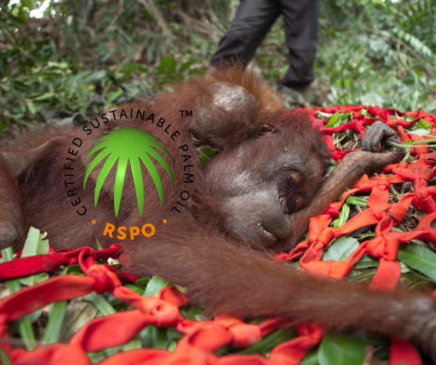 'Check out how brands are going in the WWF #palmoil scorecard' I'll give you a hint - NONE of them have stopped #deforestation after 17 years of 'certified sustainable' <a href="/RSPOtweets/">Roundtable on Sustainable Palm Oil</a>  <a href="/WWF/">WWF</a> and @ChesterZoo #greenwashing
