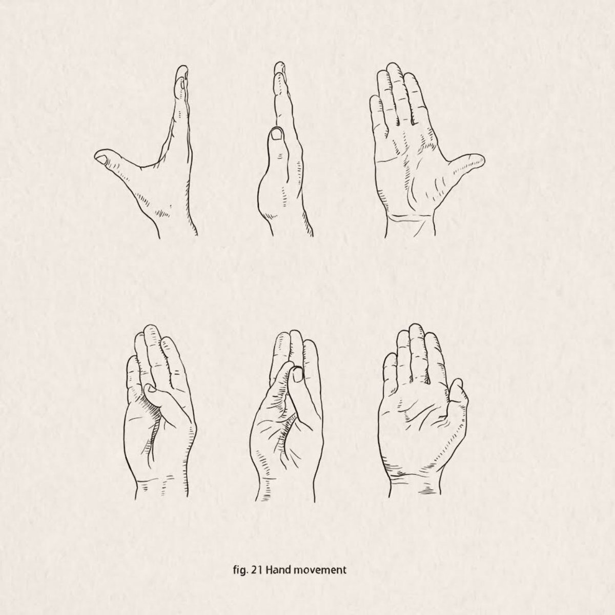 Fig. 21 Hand movement

#sciartink #sciart #31figuresofsciart #medicalillustration #penandink #sciartober #sketch #medart 