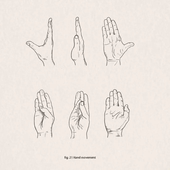 Fig. 21 Hand movement#sciartink #sciart #31figuresofsciart #medicalillustration #penandink #sciartober #sketch #medart 