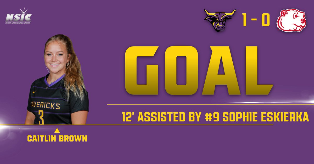 Minnesota State Soccer tweet media