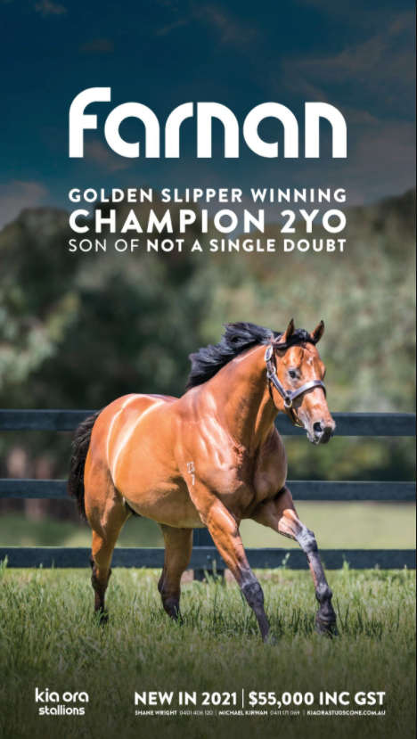 TTRAusNZ's tweet photo. #Farnan, exceptional G1 Golden Slipper winner by a sire of sires #NotASingleDoubt is standing his first season at stud at @kiaorastud. https://t.co/fuYhhj64NG