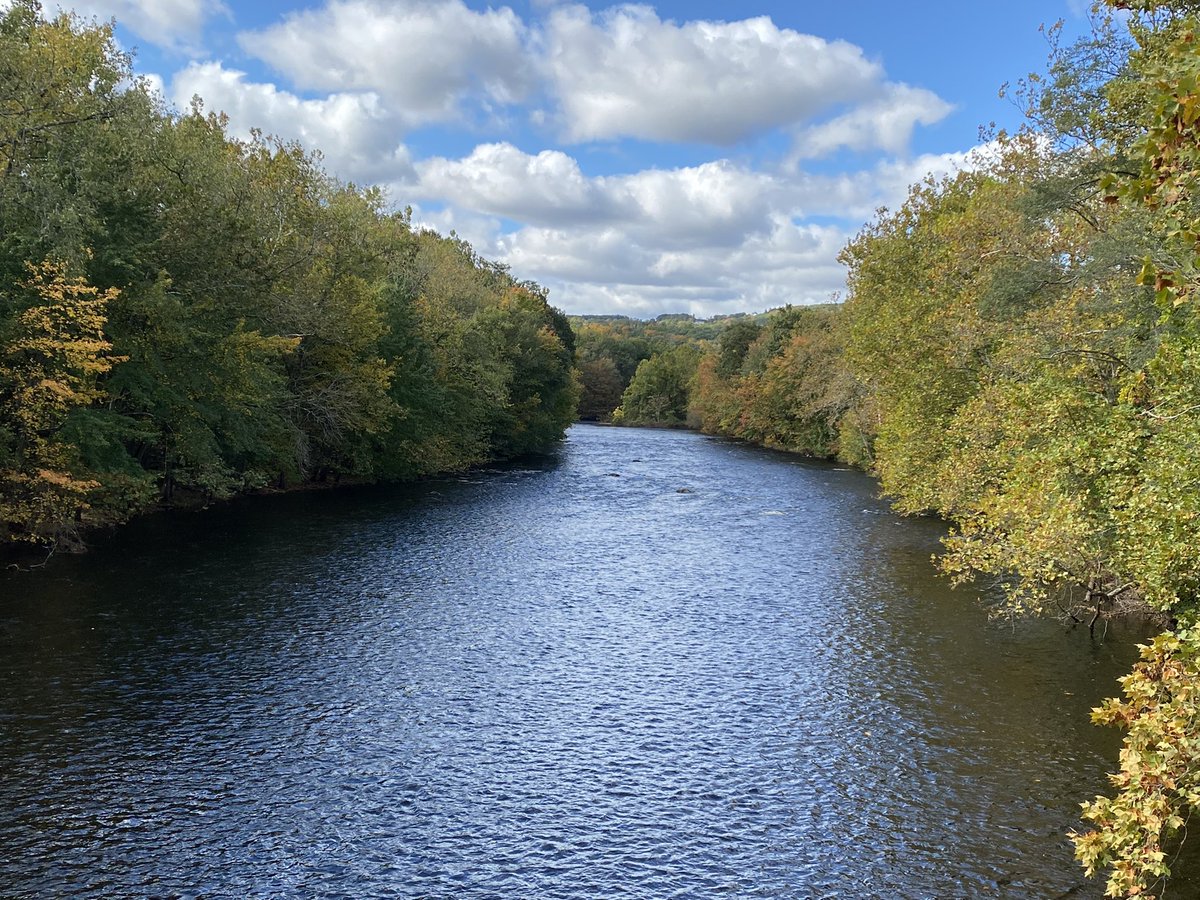 Governor Ned Lamont tweet media