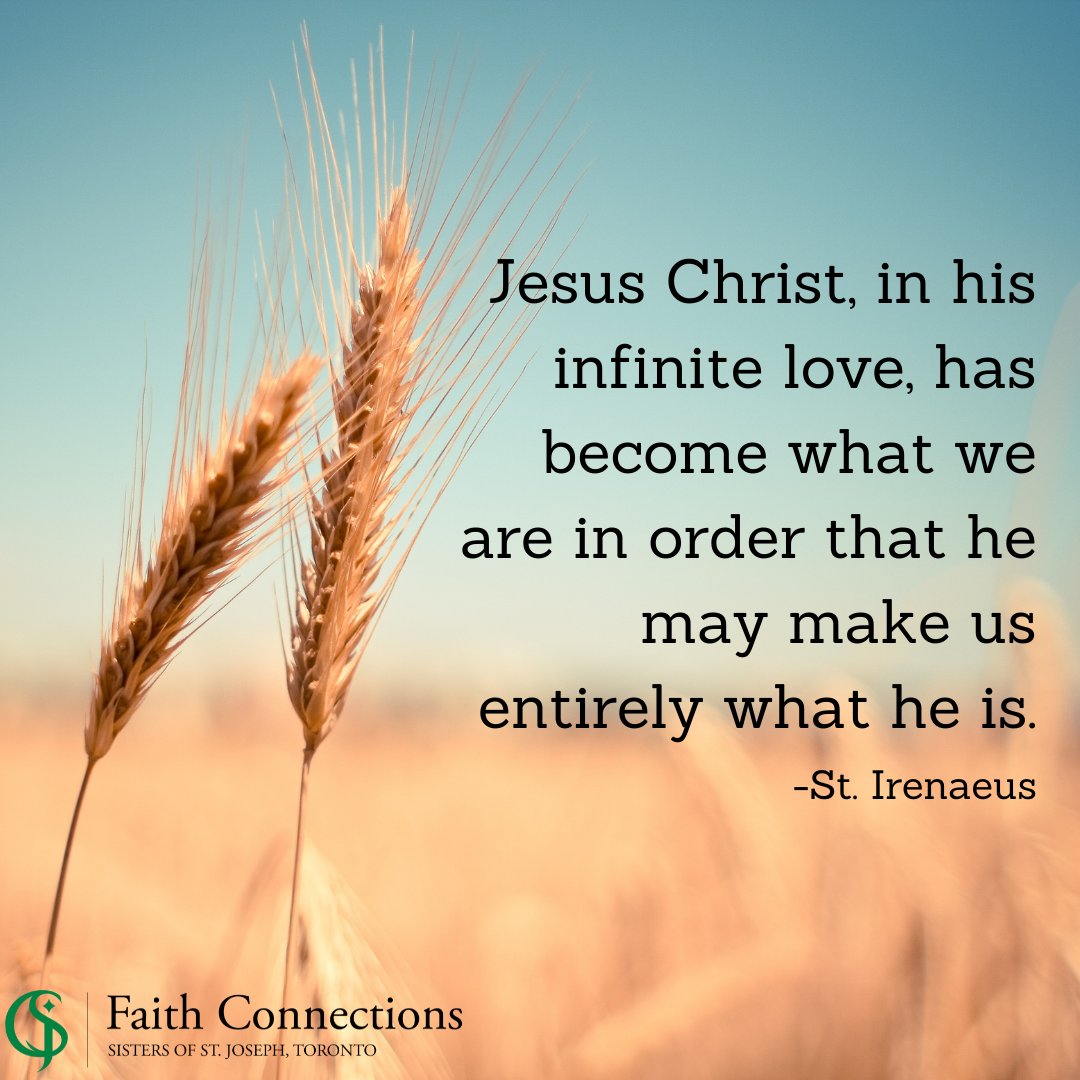 FaithConnection's tweet image. ONE! - Finale Countdown🕐 - mailchi.mp/csj-to/celebra…

"Jesus Christ, in his infinite love, has become what we are in order that he may make us entirely what he is." - St. Irenaeus

#FaithConnections #Farewell #YoungAdultMinistry #CatholicTO #FlashBackFriday #TheologyOnTap