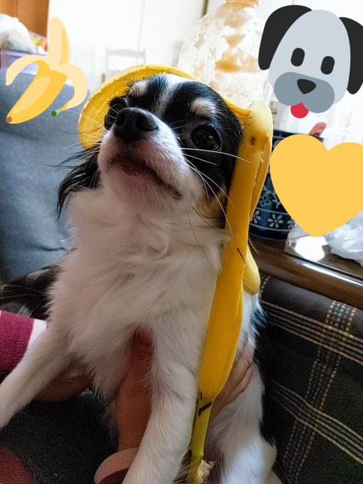 Twitterのコスプレ画像31