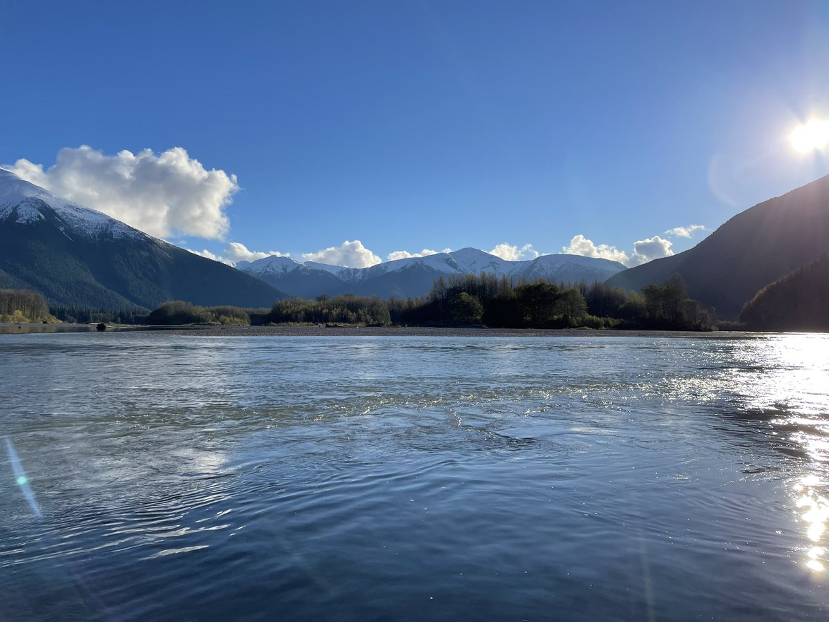 James Taylor tweet media