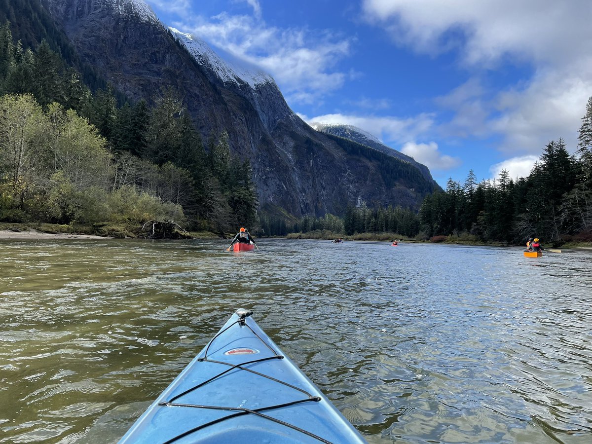 James Taylor tweet media