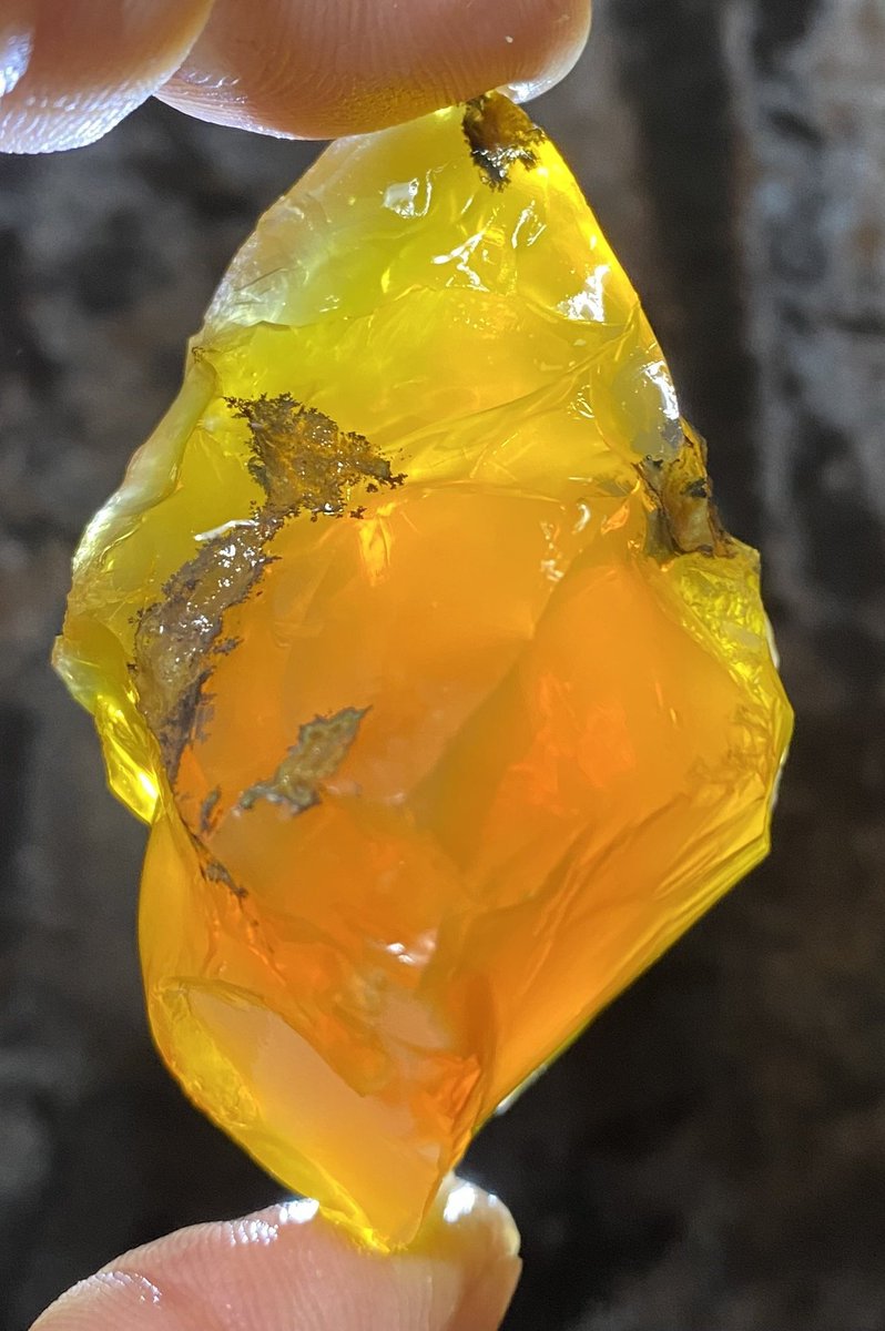 OutlawRocksGems's tweet photo. 72 gram Oregon fire opal rough mined by Outlaw Rocks. This opal is all natural. $72 with $9.20 US or $18 worldwide shipping. https://t.co/b9xQHtOk9R https://t.co/ENiruejtIm
