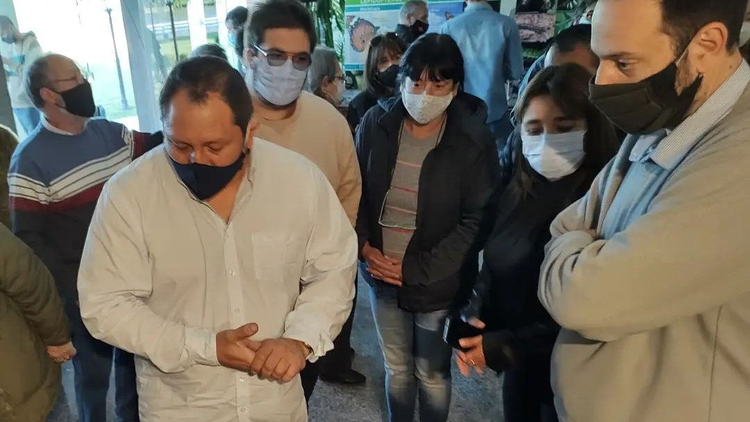 En la muestra de mariposas en El Honorable Concejo Deliberante de Tigre.