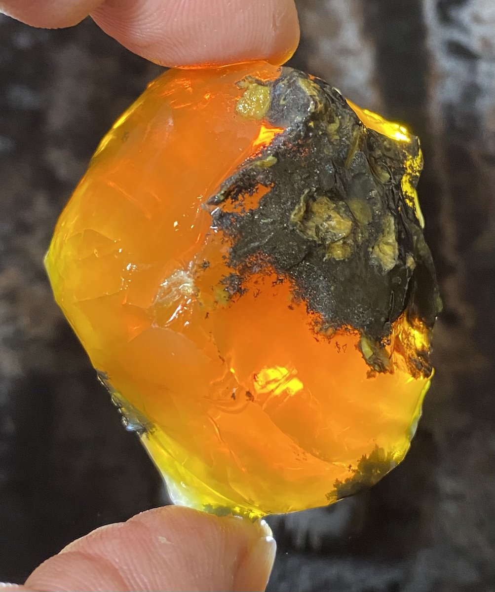 OutlawRocksGems's tweet photo. 73 gram Oregon fire opal rough mined by Outlaw Rocks. This opal is all natural. $73 with $9.20 US or $18 worldwide shipping. https://t.co/6Az7Bgm2b1 https://t.co/cWn1LLyP58