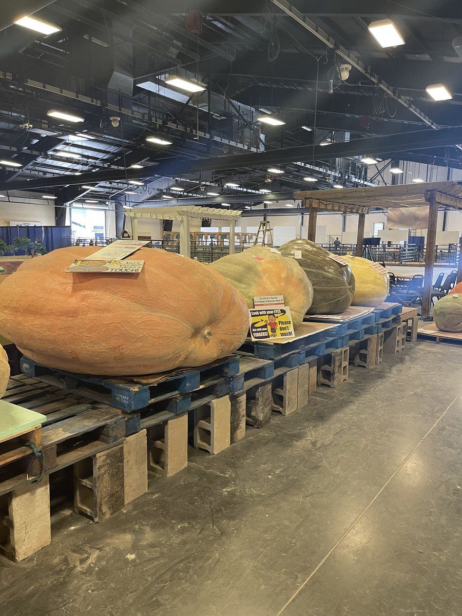 AgSommerfeld's tweet photo. A week in the life of an Ag teacher! The NC State Fair, pumpkin carving, career conversations, and small animal hangouts! I really do teach the best curriculum! #ncffa #ncffa #ncagriculture #dpscte https://t.co/HhBAtiIEWL