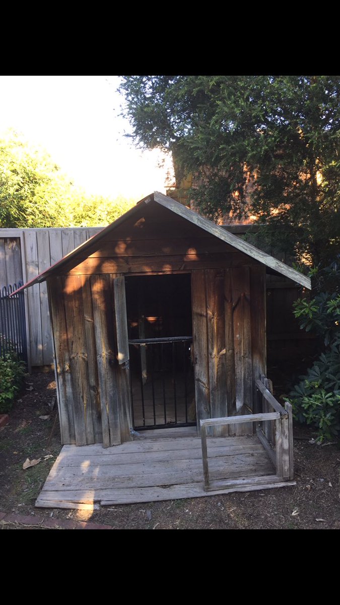 roger3806's tweet photo. After and before shots of my lockdown restoration of our kids’ cubby house - getting it ready for the grandkids. #cubbyhouse #renovation #improvement #children #project #grandkids https://t.co/FBa1hvNGwA